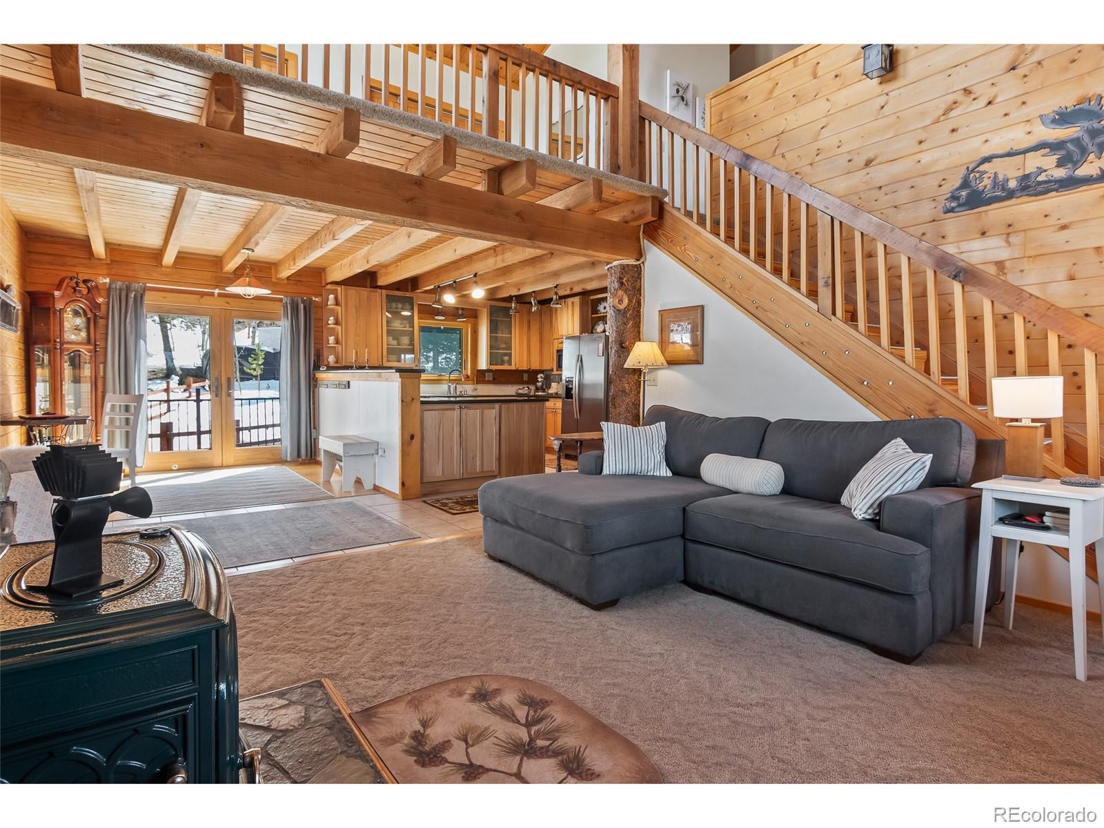 MLS Image #15 for 1666  high creek road,fairplay, Colorado