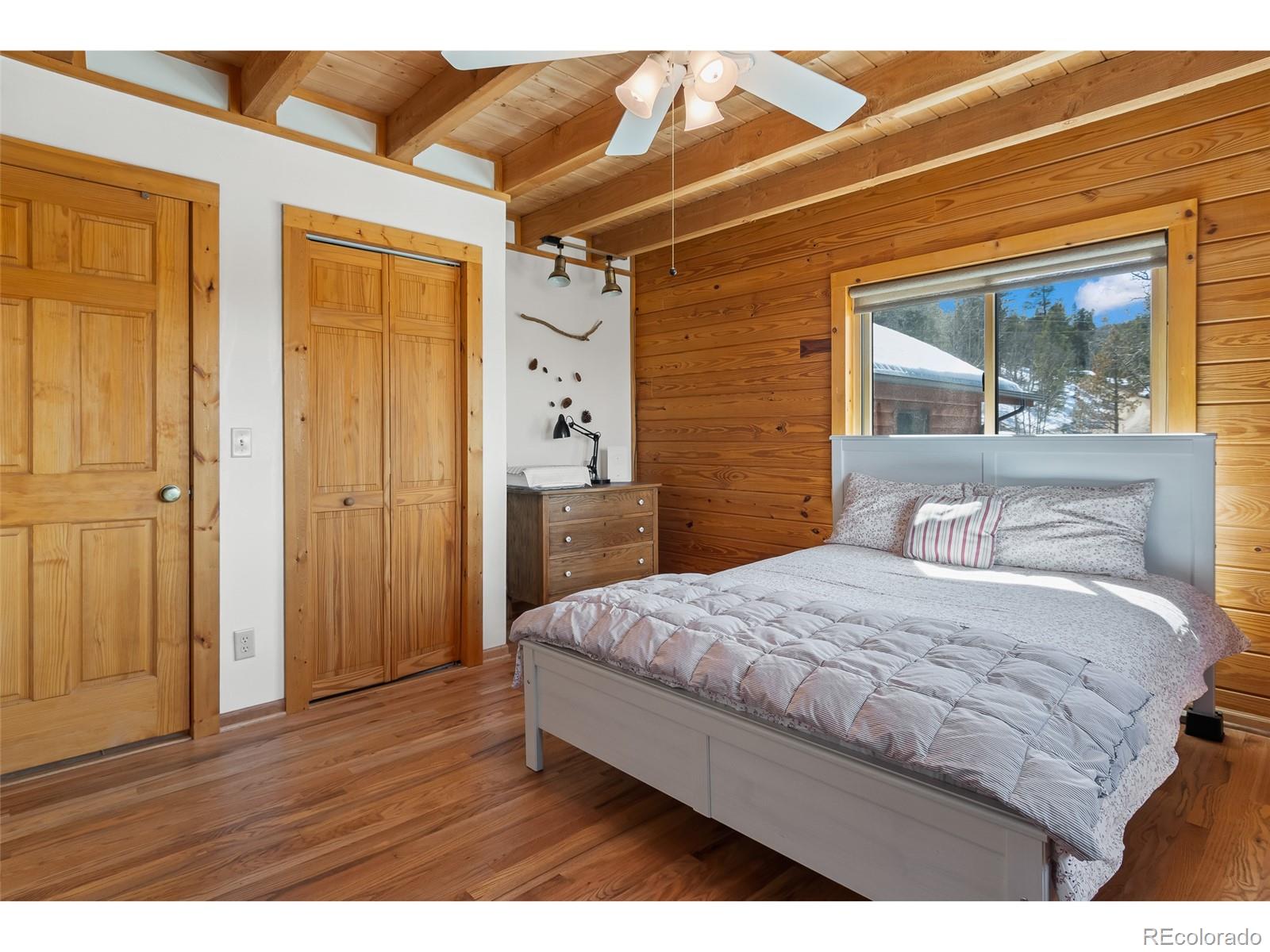 MLS Image #18 for 1666  high creek road,fairplay, Colorado
