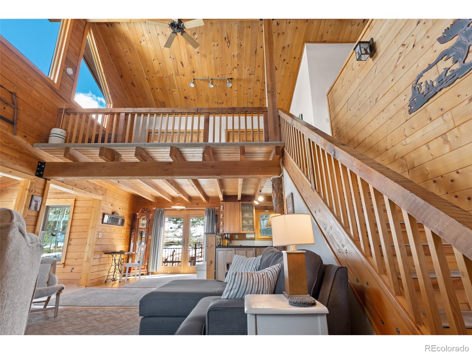 MLS Image #21 for 1666  high creek road,fairplay, Colorado