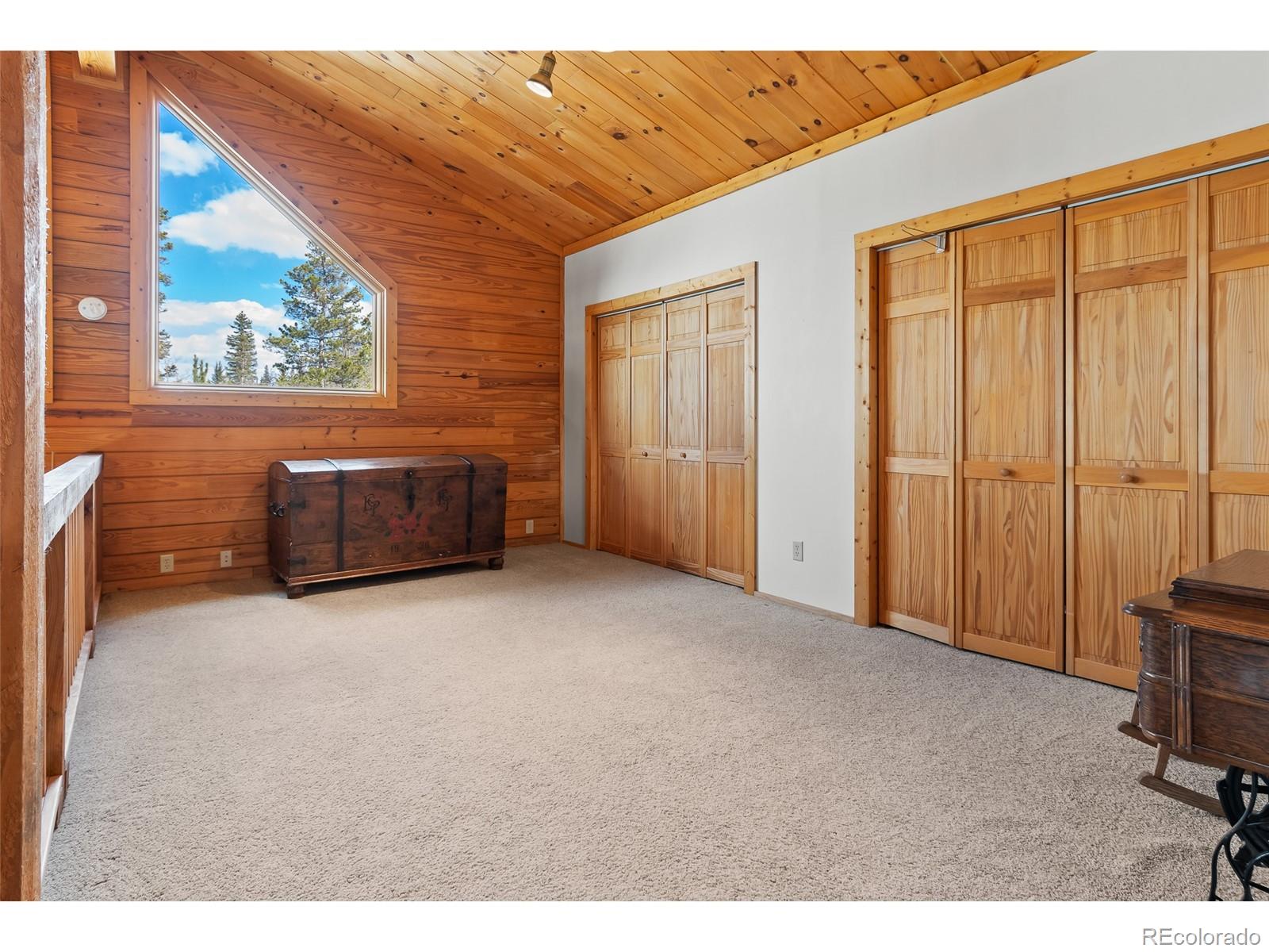 MLS Image #22 for 1666  high creek road,fairplay, Colorado
