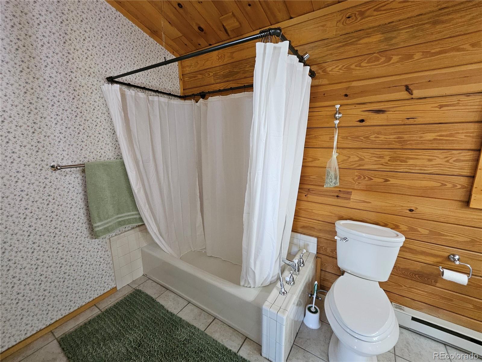 MLS Image #28 for 1666  high creek road,fairplay, Colorado