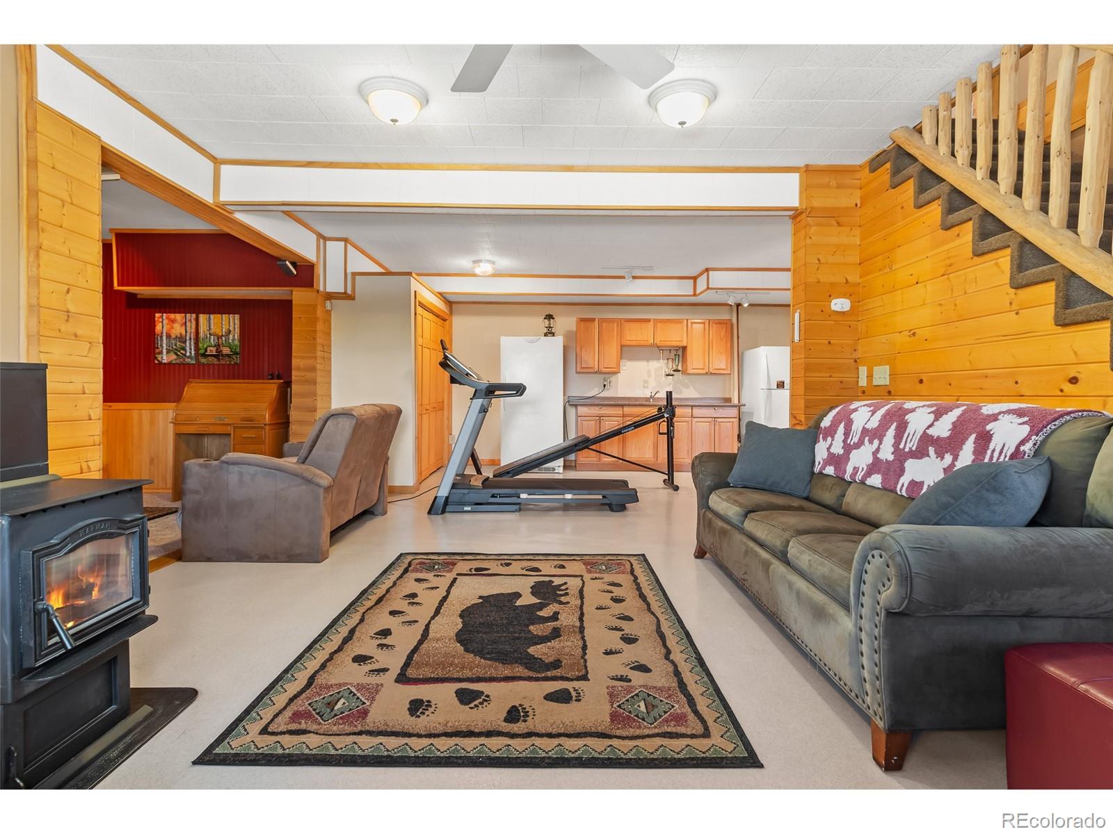 MLS Image #30 for 1666  high creek road,fairplay, Colorado