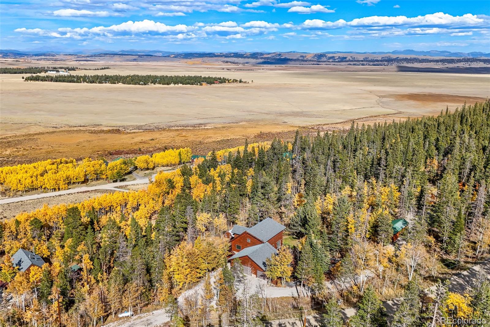 MLS Image #4 for 1666  high creek road,fairplay, Colorado