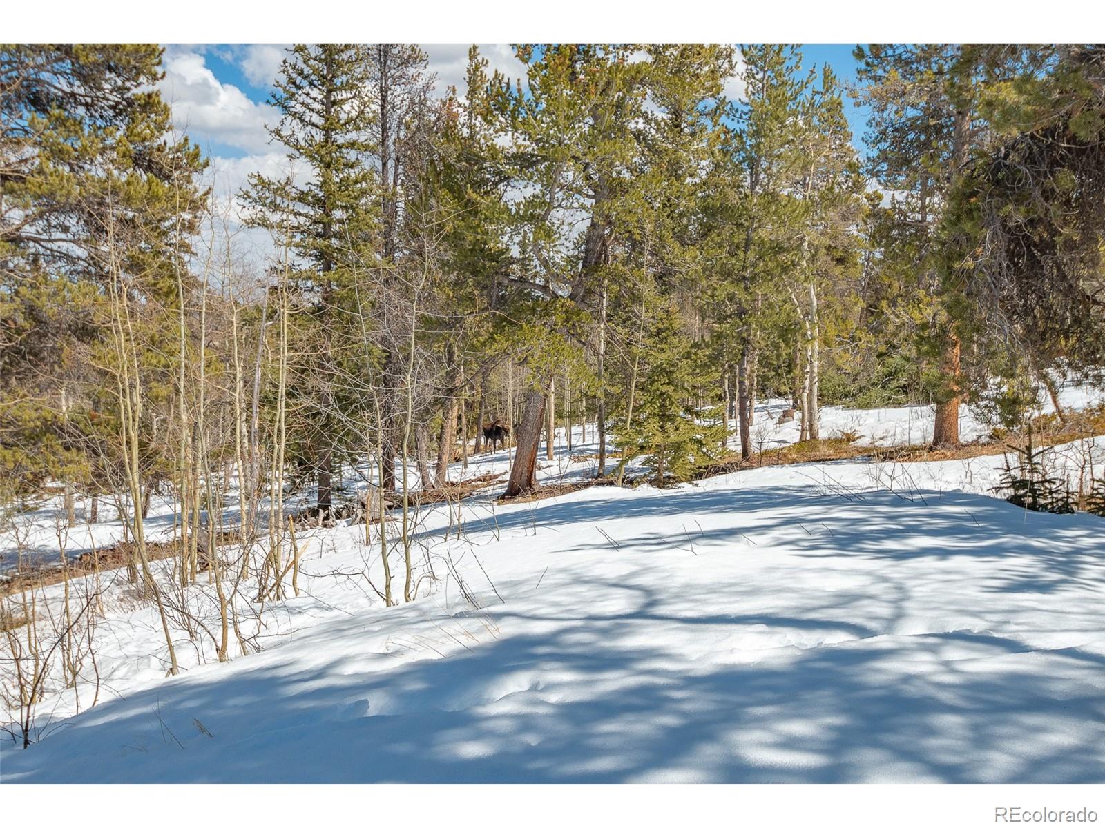 MLS Image #40 for 1666  high creek road,fairplay, Colorado