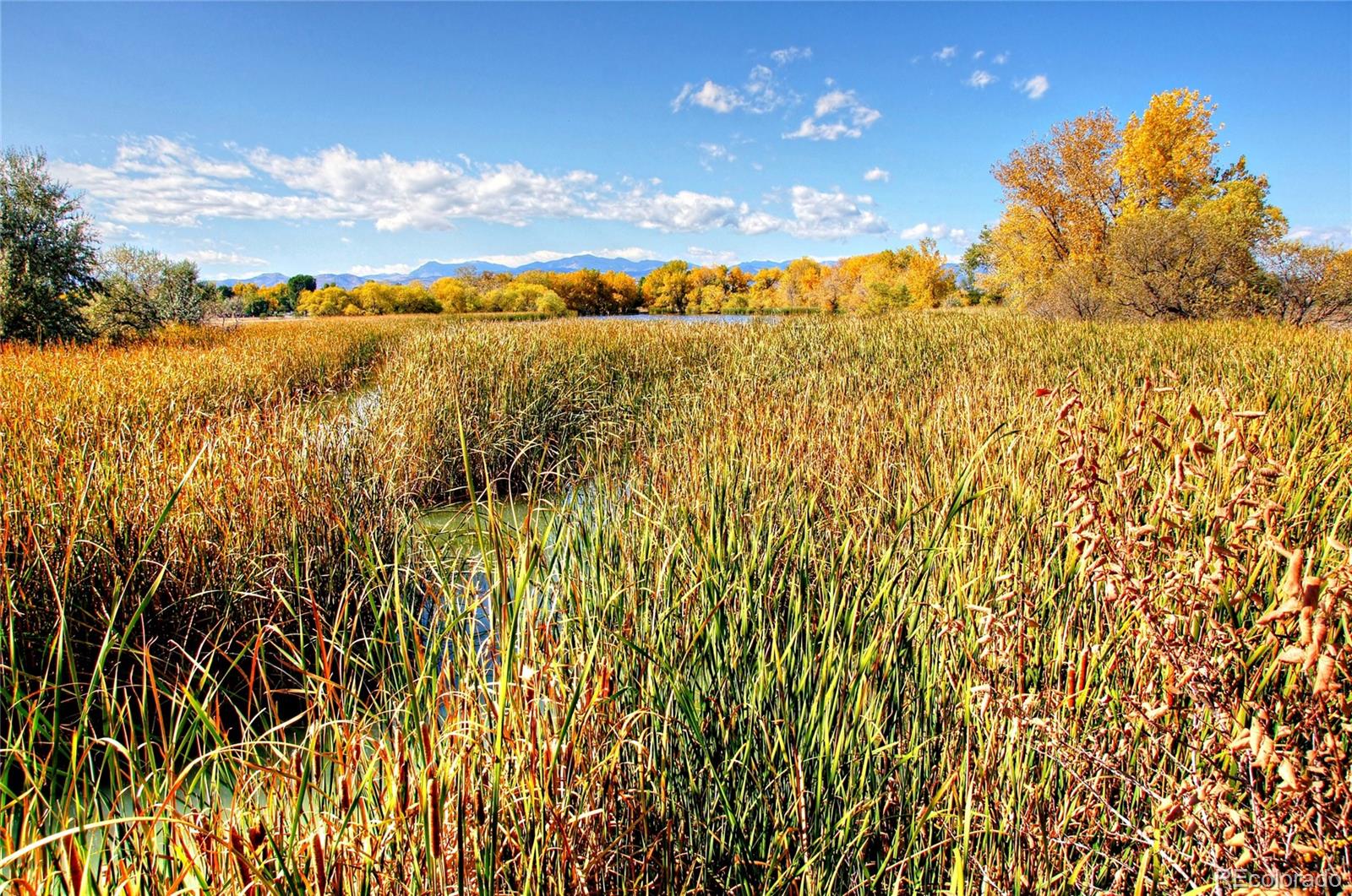 MLS Image #43 for 10163 w 38th avenue,wheat ridge, Colorado