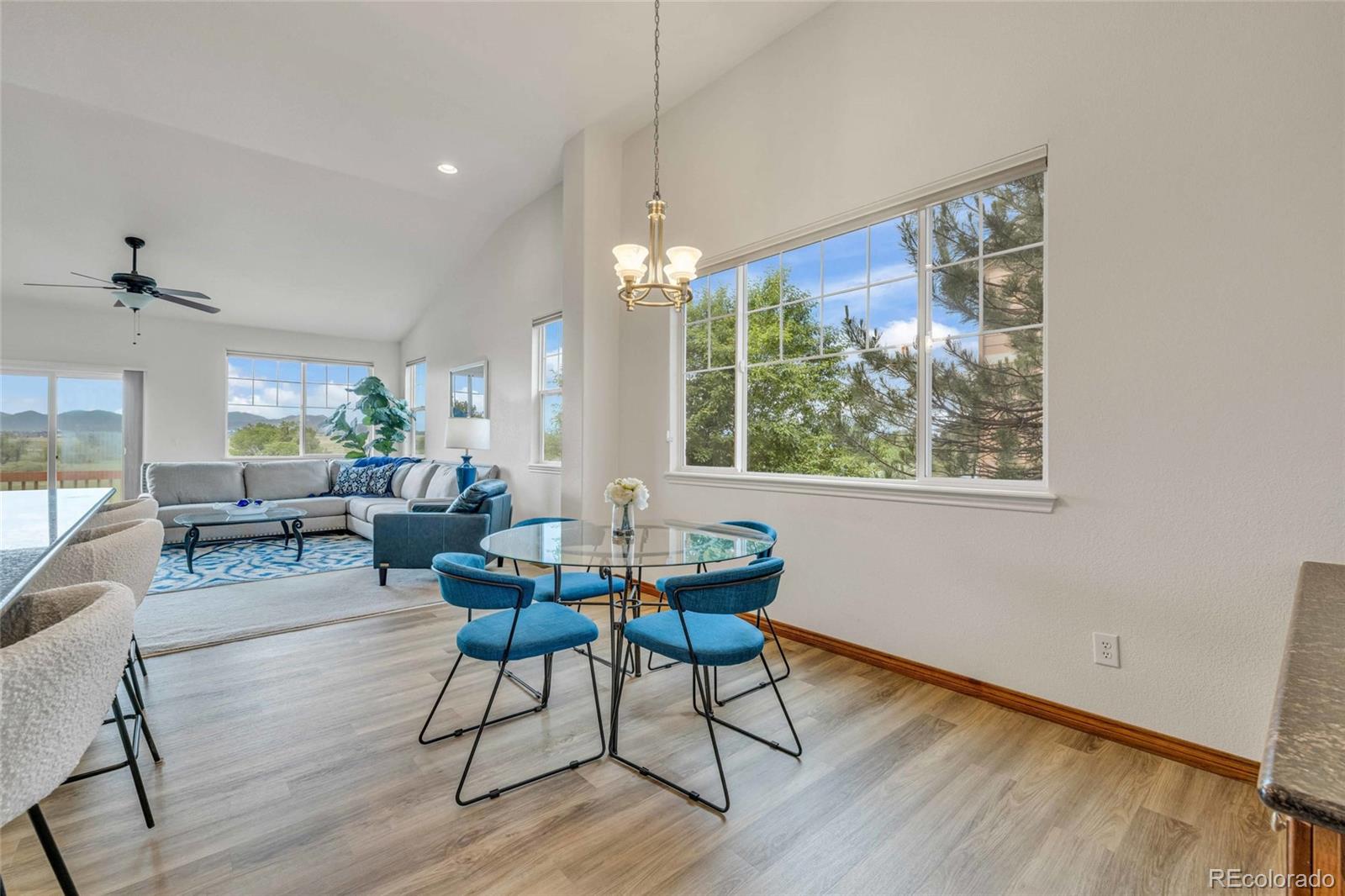 MLS Image #13 for 1100  columbine way,erie, Colorado