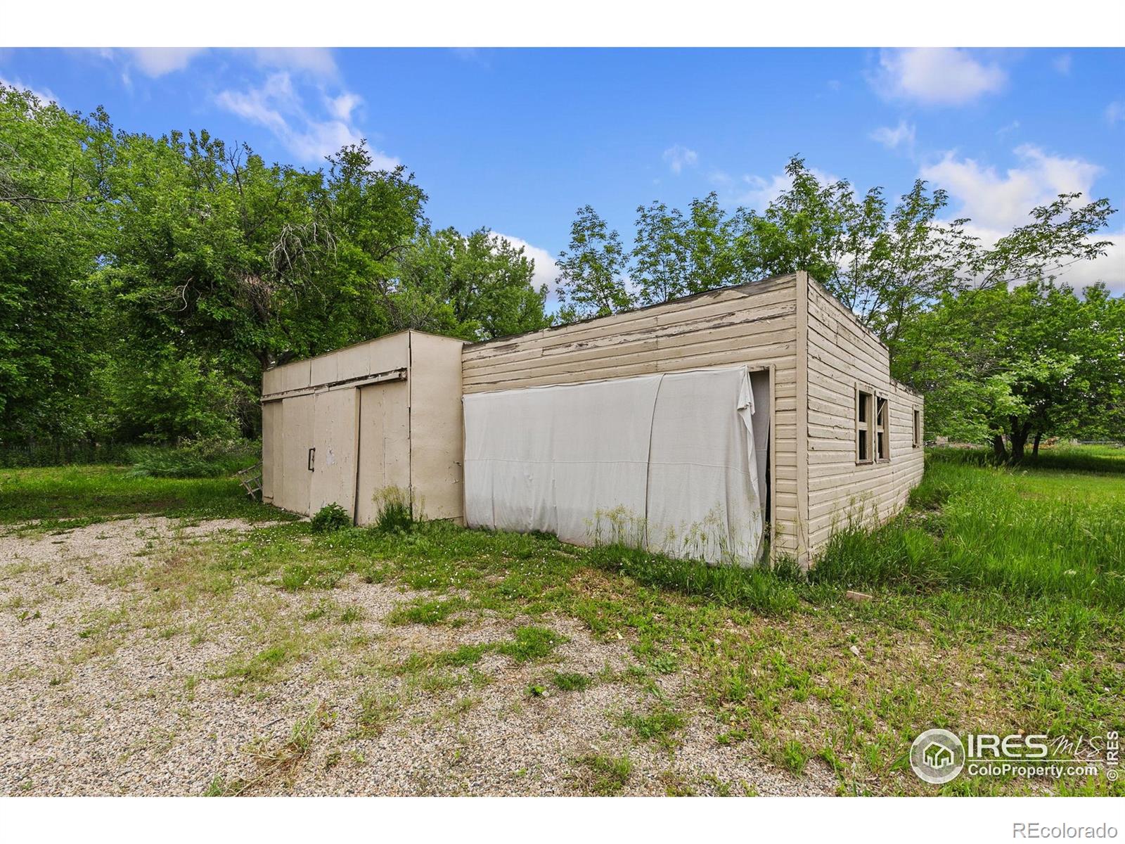 MLS Image #6 for 1304 w prospect road,fort collins, Colorado