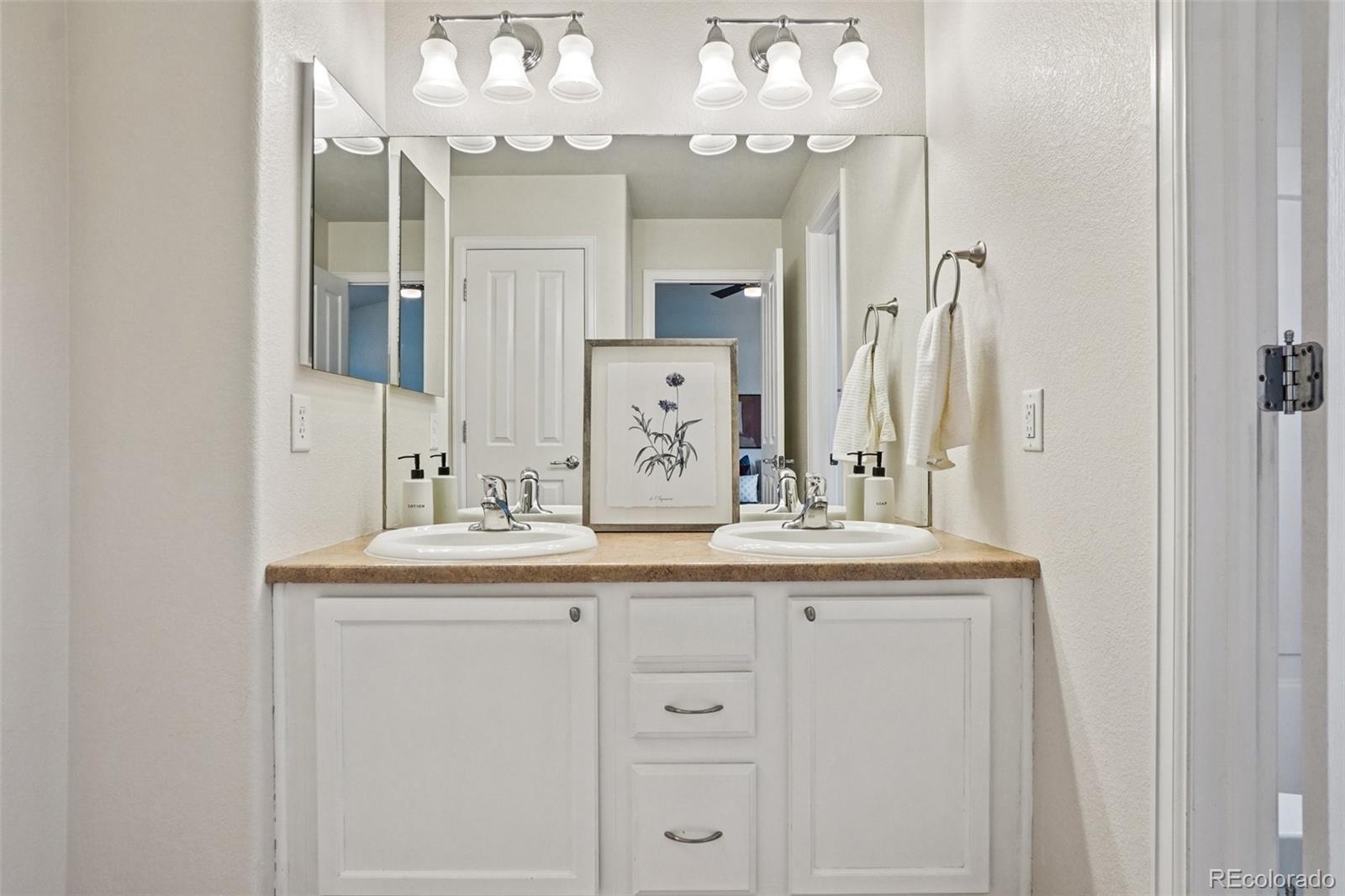MLS Image #24 for 17032  blue mist grove,monument, Colorado