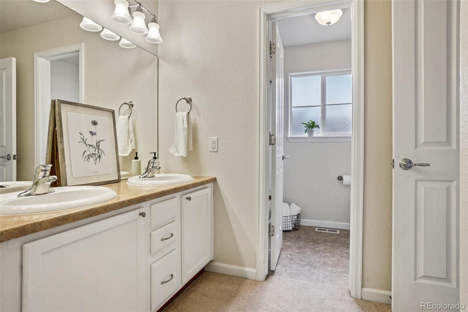 MLS Image #25 for 17032  blue mist grove,monument, Colorado