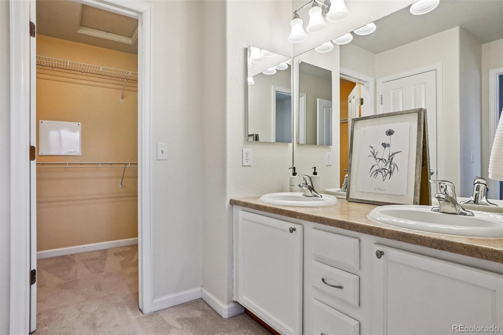 MLS Image #26 for 17032  blue mist grove,monument, Colorado