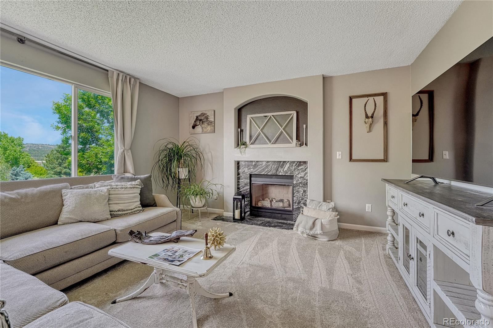 MLS Image #16 for 3689  primrose lane,castle rock, Colorado