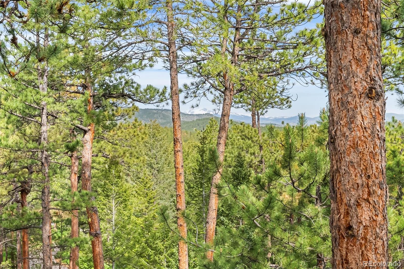MLS Image #43 for 166 s rainbow trail,evergreen, Colorado