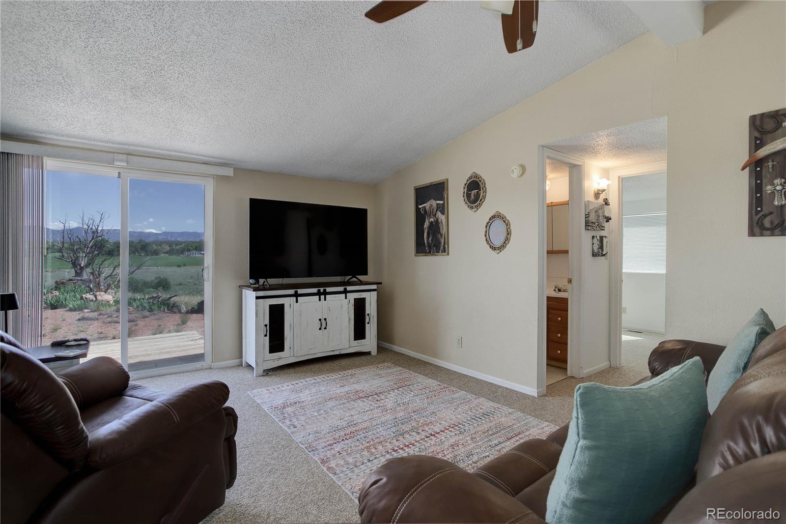 MLS Image #5 for 295  5th street,penrose, Colorado