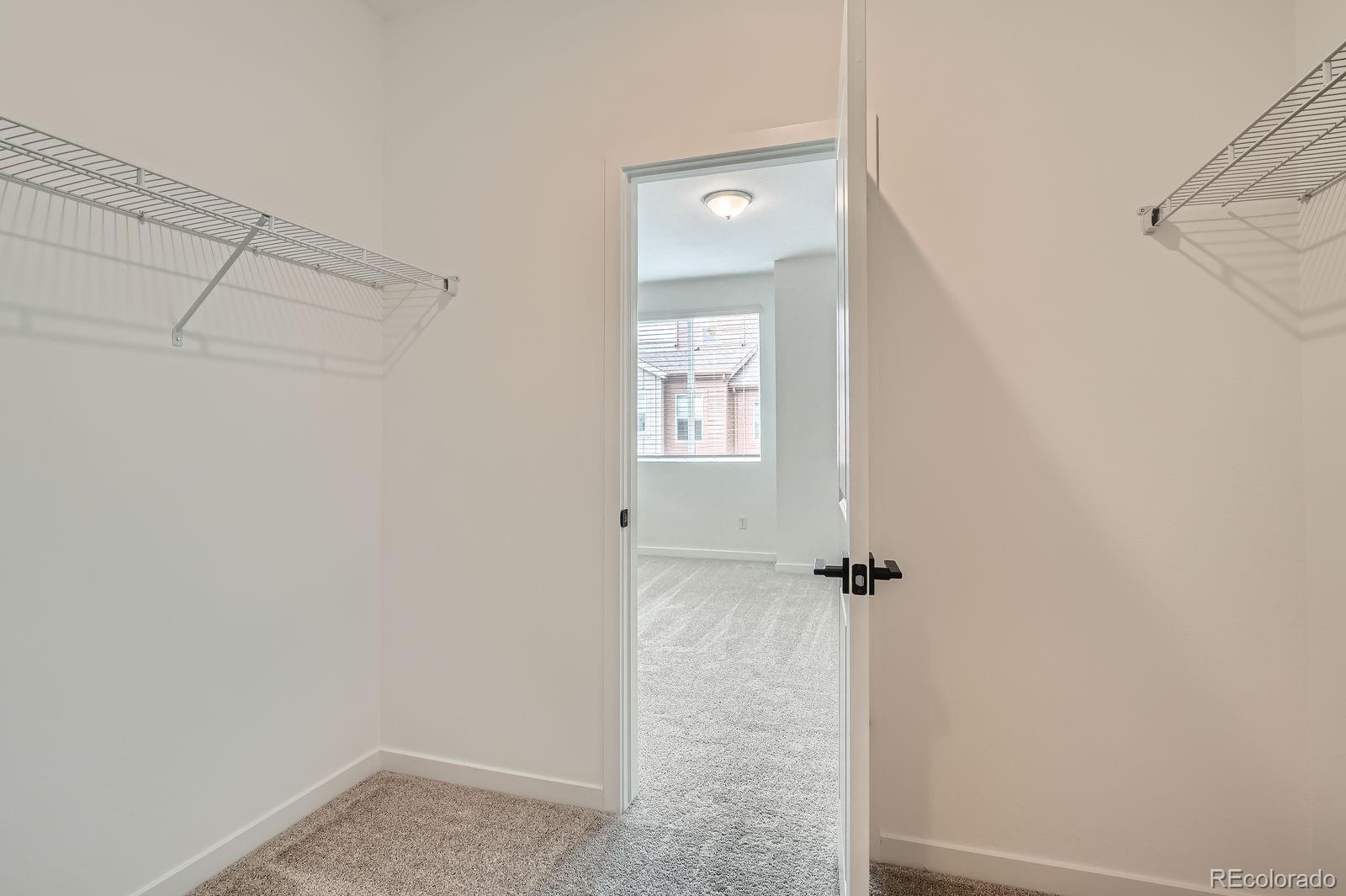 MLS Image #11 for 9645  browns peak circle,littleton, Colorado