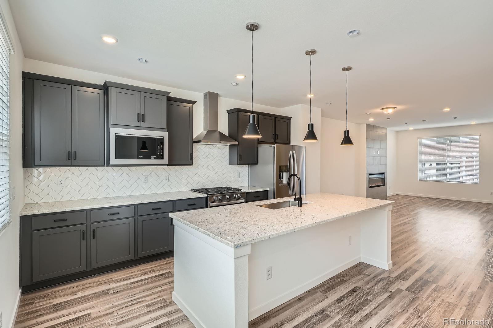 MLS Image #5 for 9645  browns peak circle,littleton, Colorado