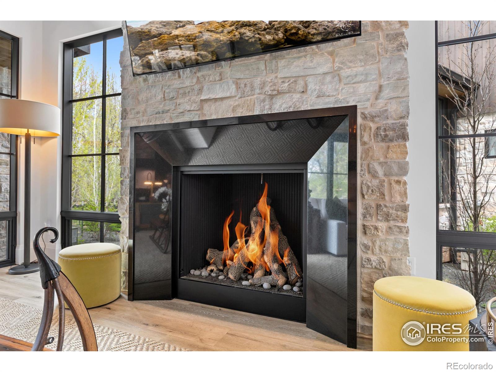 MLS Image #11 for 762  harts gardens lane,fort collins, Colorado
