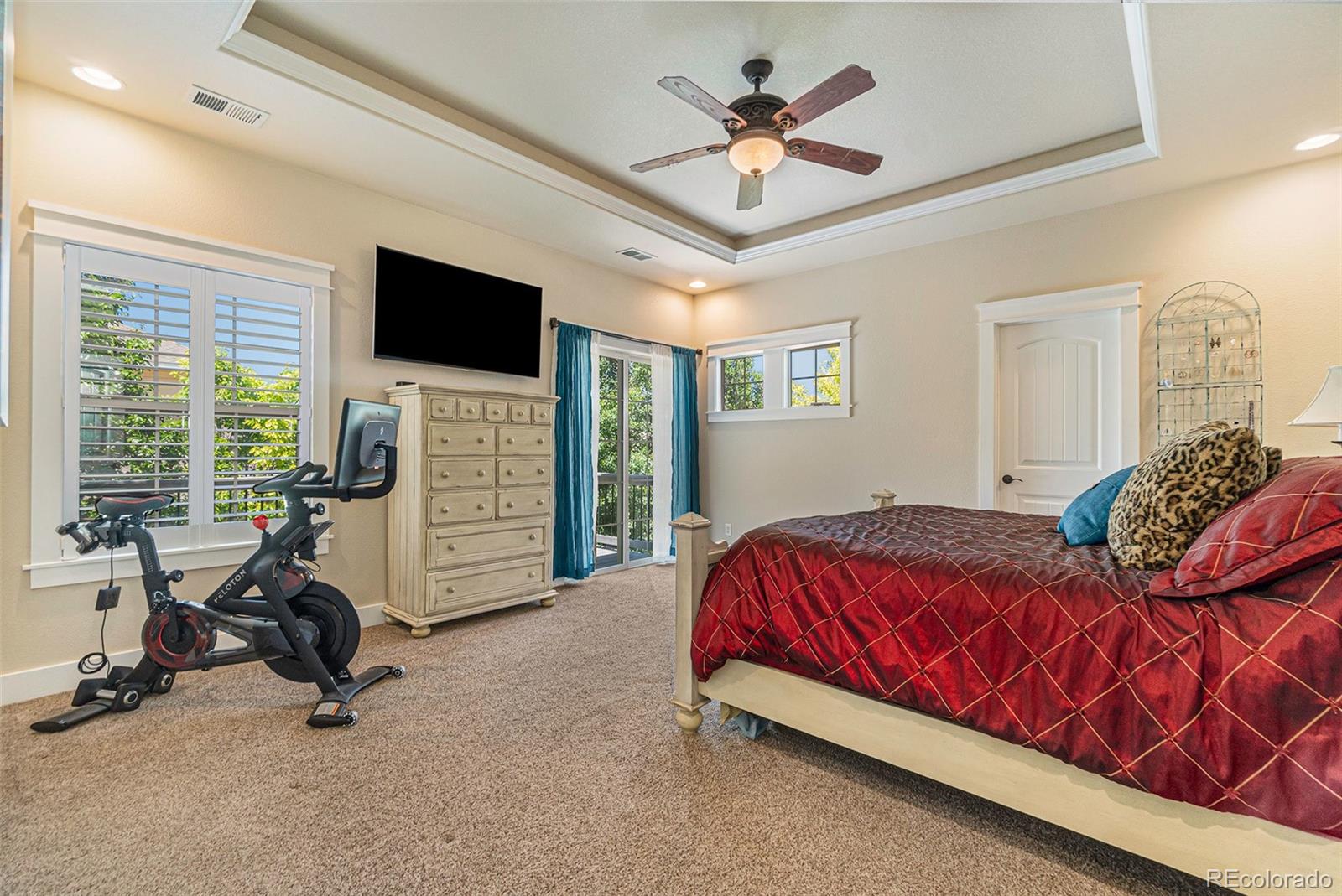 MLS Image #20 for 7018  aladar drive,windsor, Colorado