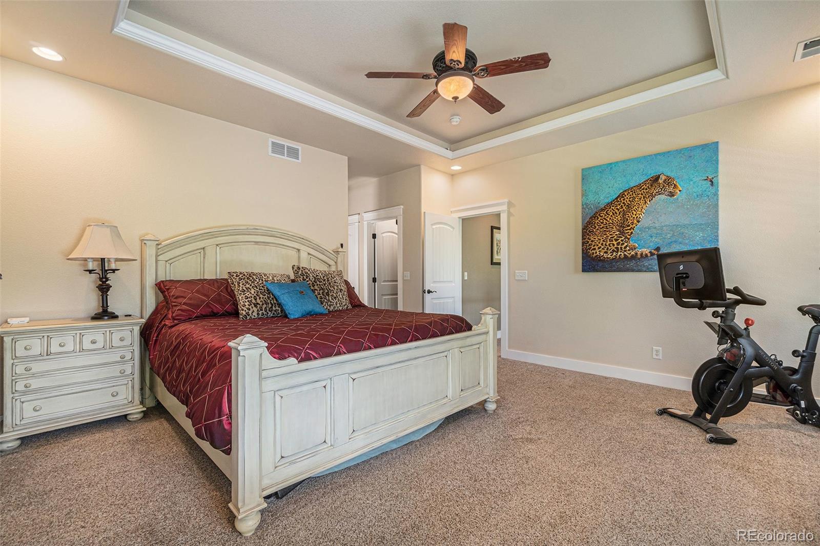 MLS Image #21 for 7018  aladar drive,windsor, Colorado