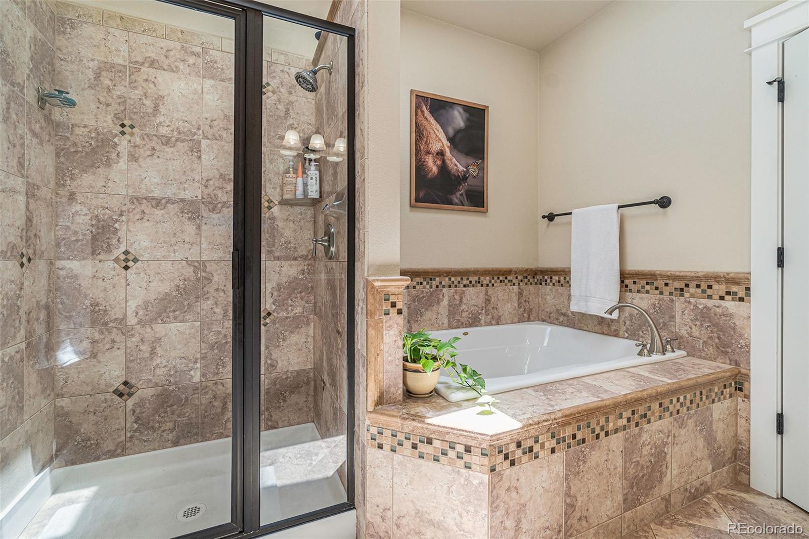 MLS Image #22 for 7018  aladar drive,windsor, Colorado