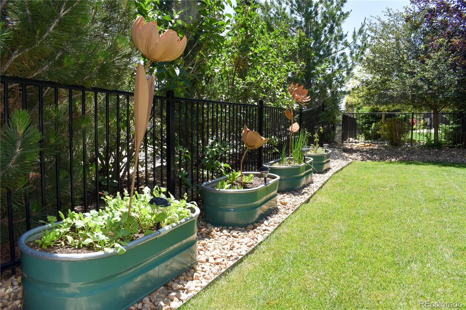 MLS Image #34 for 7018  aladar drive,windsor, Colorado