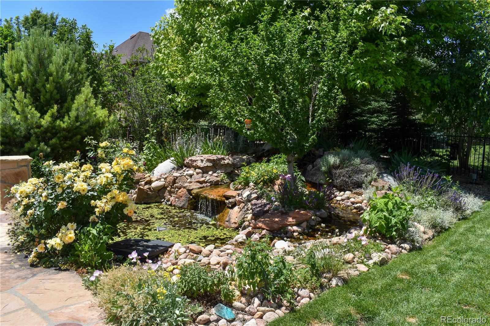 MLS Image #36 for 7018  aladar drive,windsor, Colorado