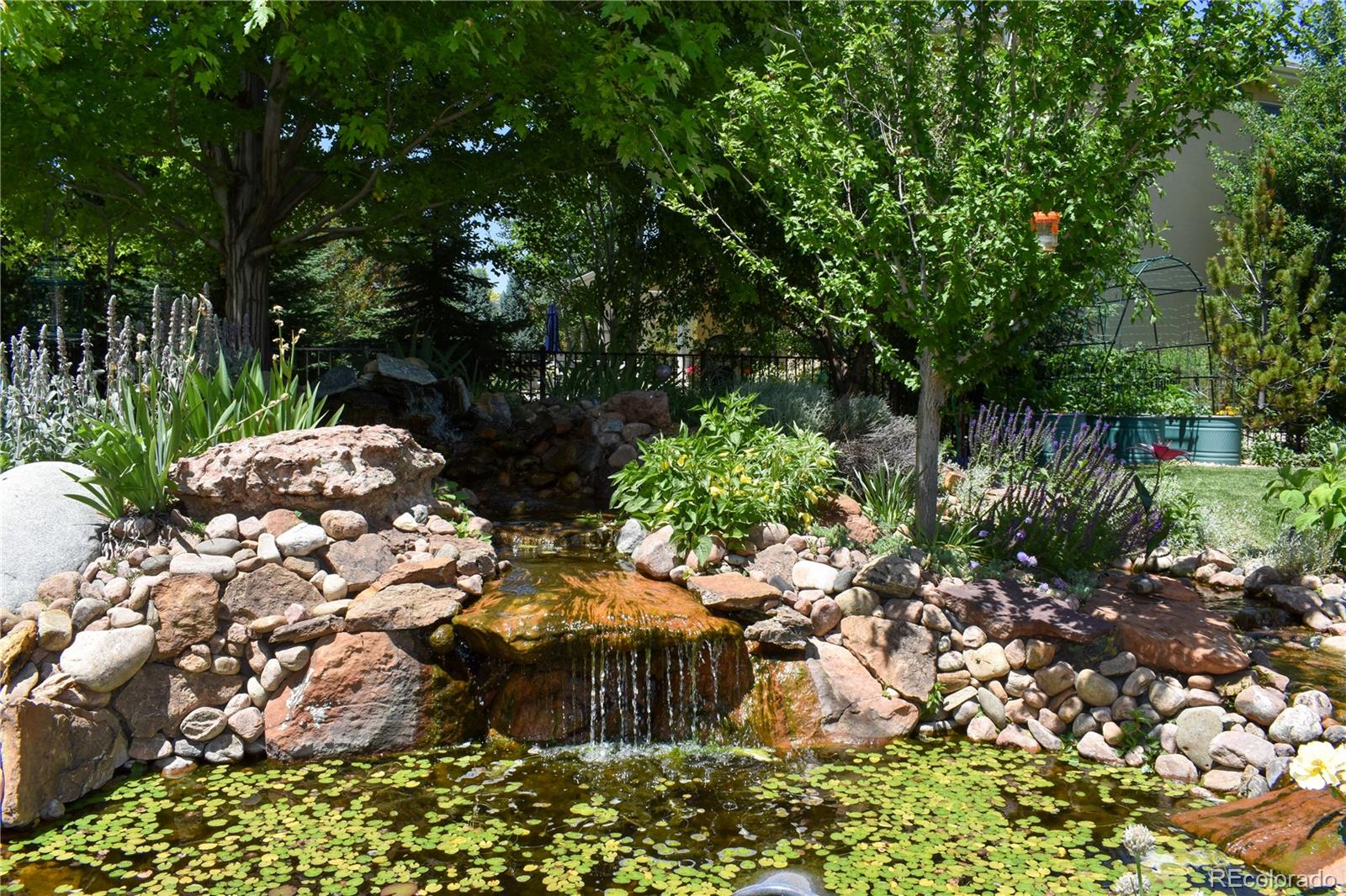 MLS Image #37 for 7018  aladar drive,windsor, Colorado