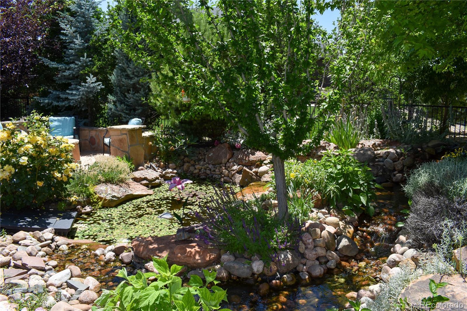 MLS Image #38 for 7018  aladar drive,windsor, Colorado