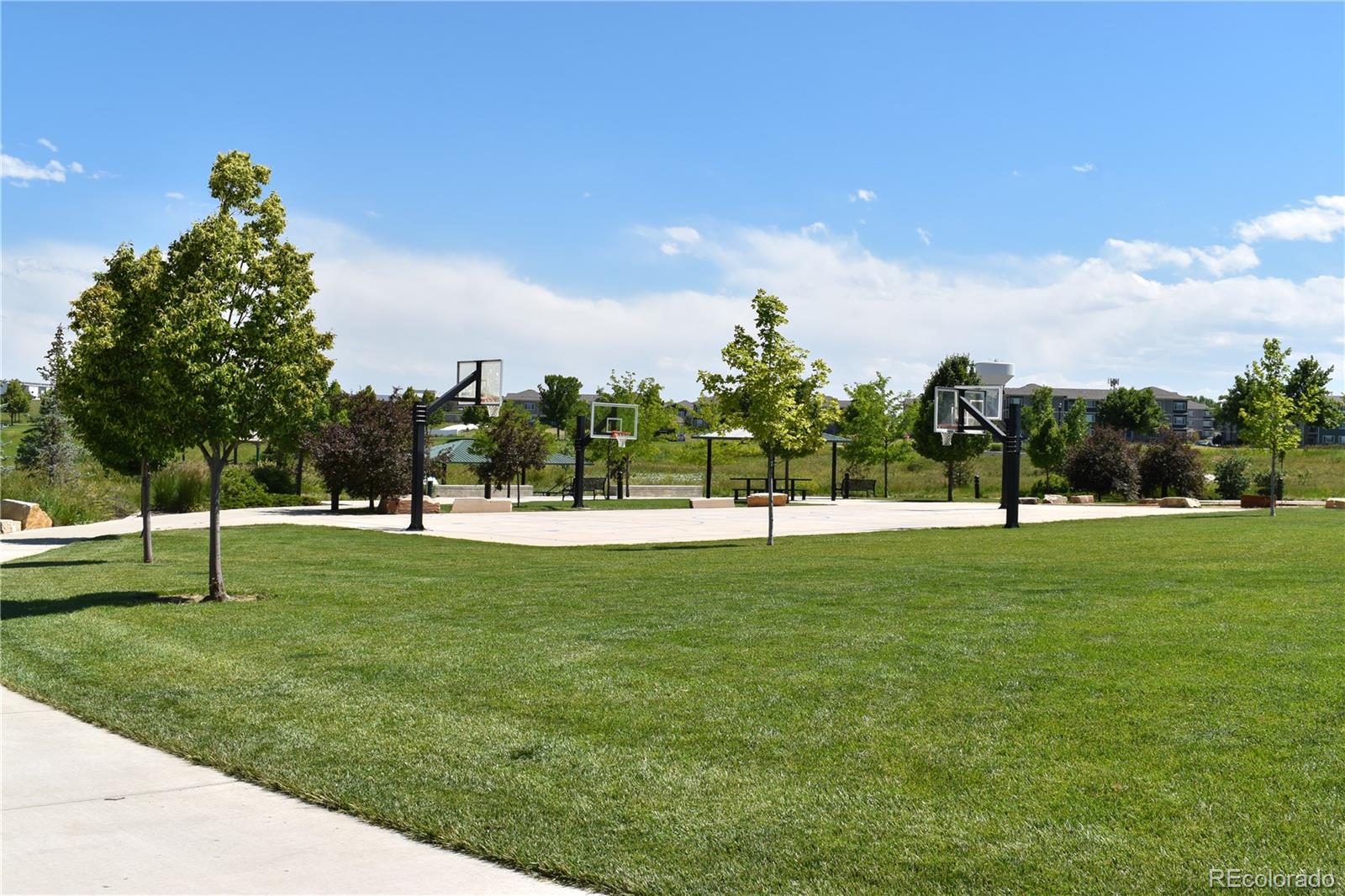 MLS Image #43 for 7018  aladar drive,windsor, Colorado