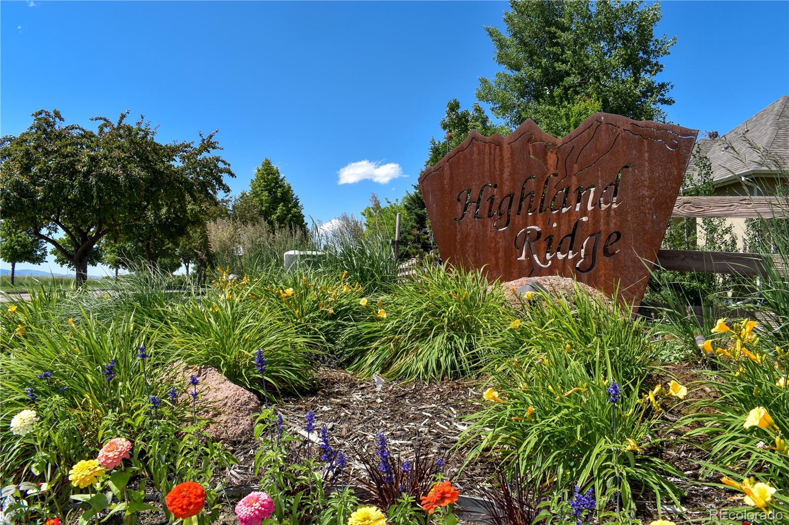 MLS Image #44 for 7018  aladar drive,windsor, Colorado
