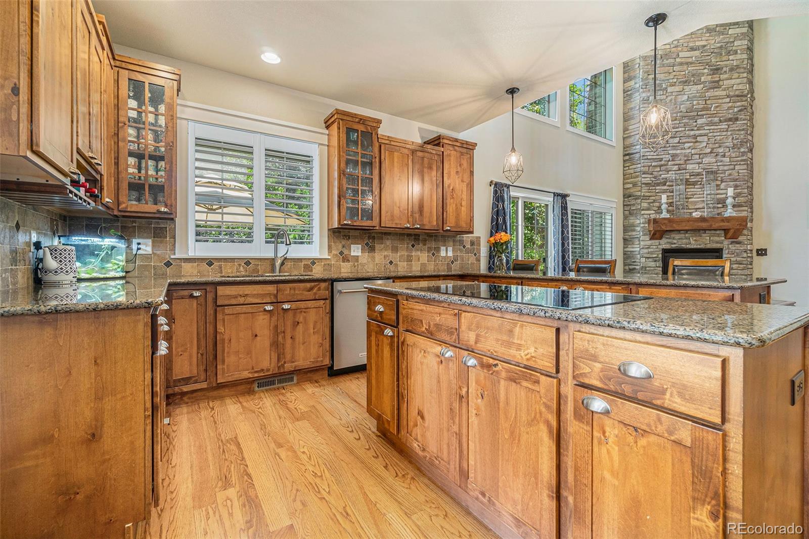 MLS Image #9 for 7018  aladar drive,windsor, Colorado