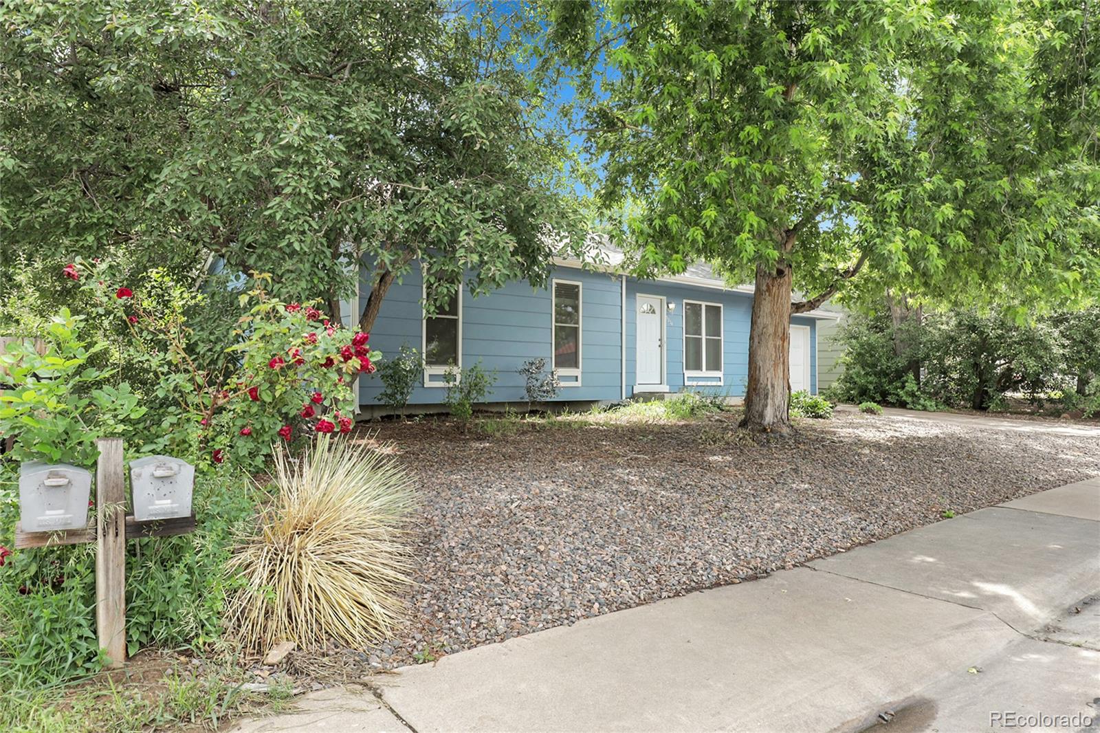 CMA Image for 3224 S Dudley Street,Lakewood, Colorado