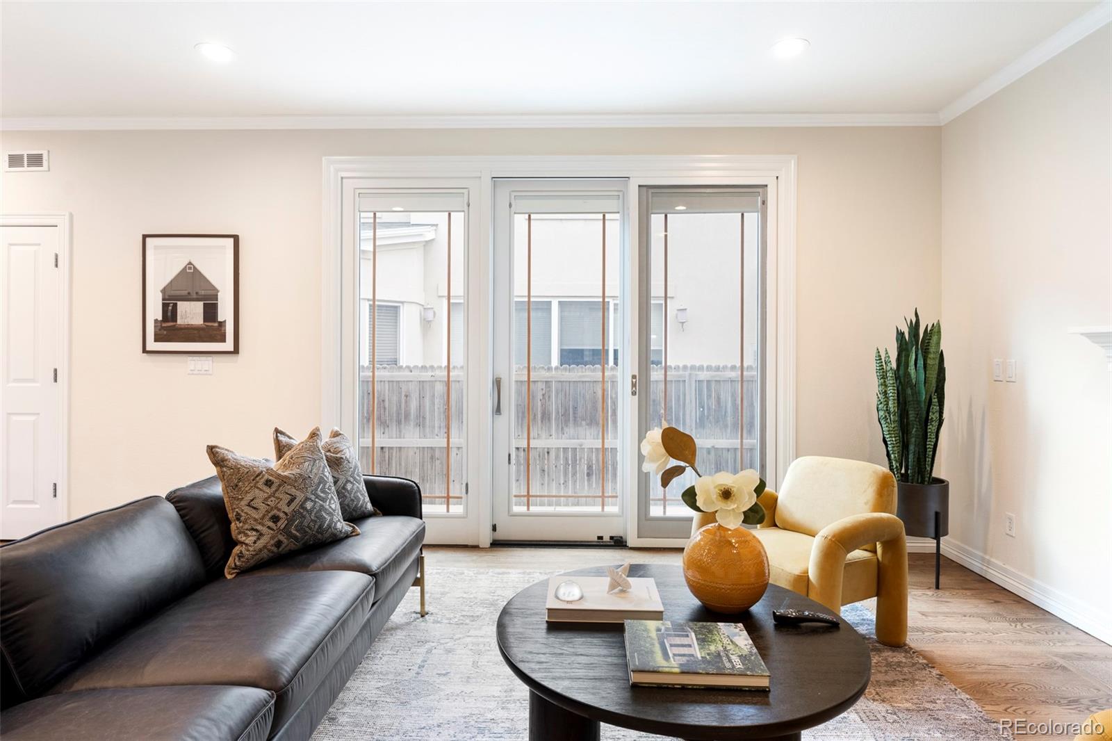 MLS Image #20 for 538  cook street,denver, Colorado