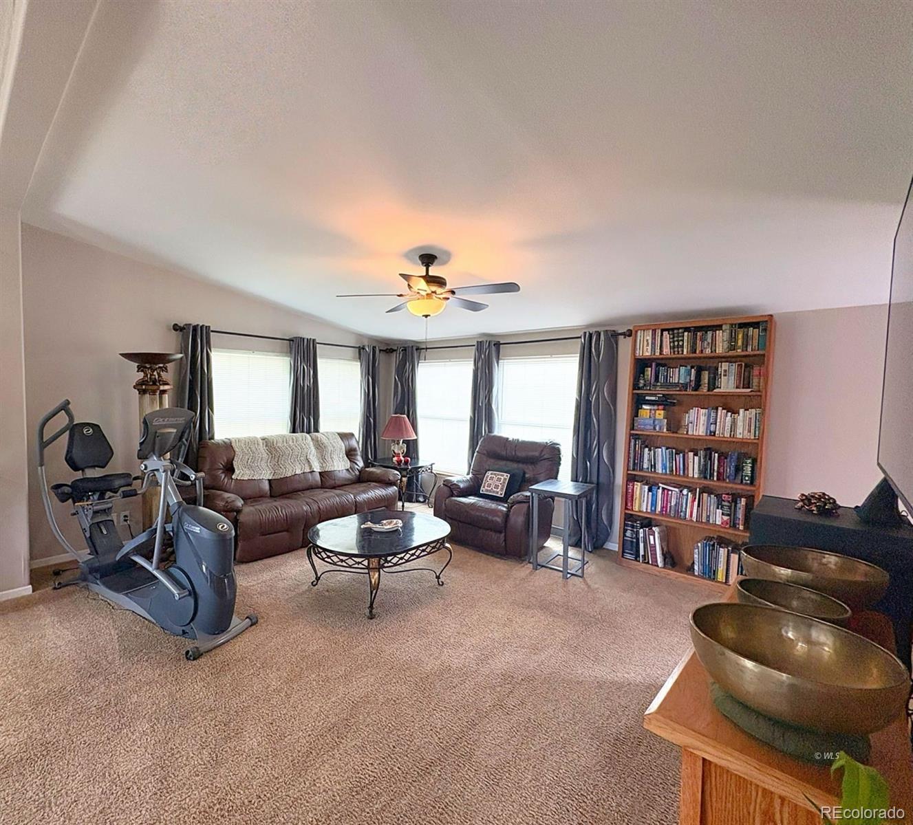 MLS Image #5 for 29  granada court,silver cliff, Colorado