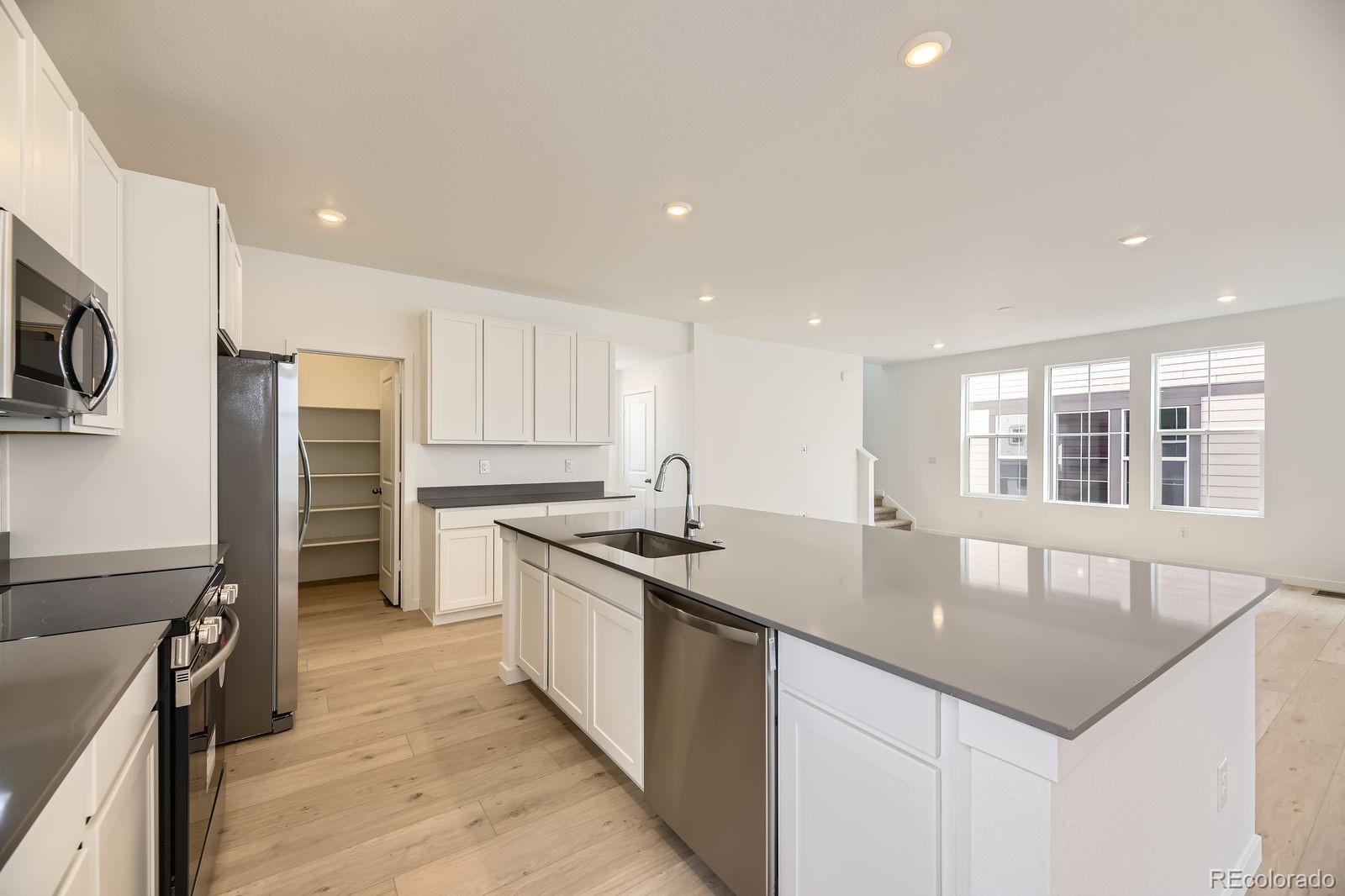 MLS Image #3 for 7293  waterleaf trail,littleton, Colorado