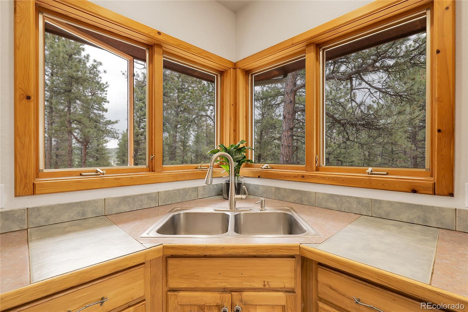 MLS Image #7 for 29266 s sunset trail,conifer, Colorado