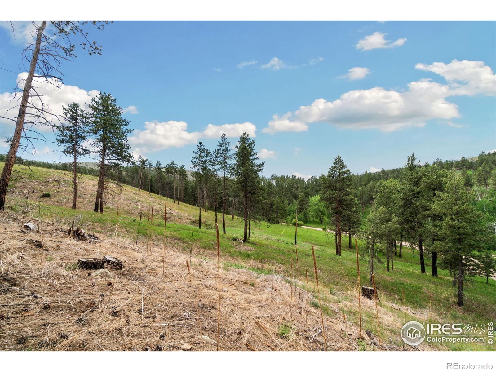 MLS Image #10 for 620  davis ranch road,bellvue, Colorado