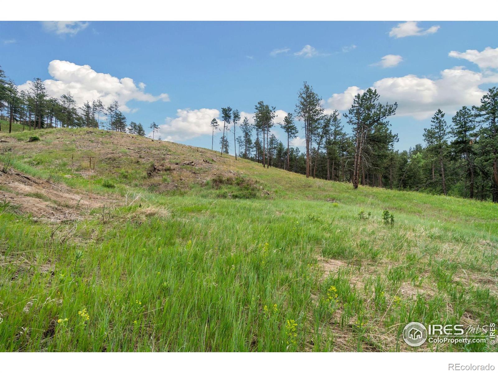 MLS Image #11 for 620  davis ranch road,bellvue, Colorado