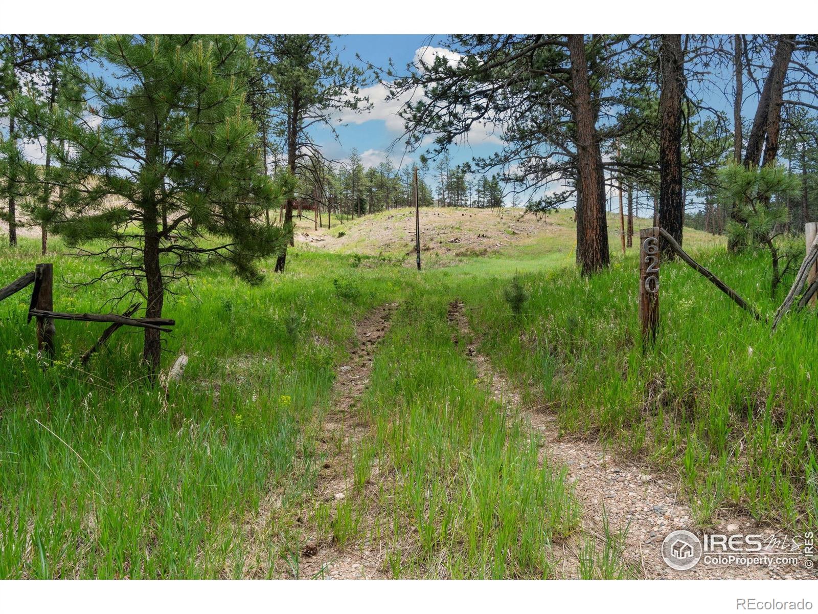 MLS Image #8 for 620  davis ranch road,bellvue, Colorado