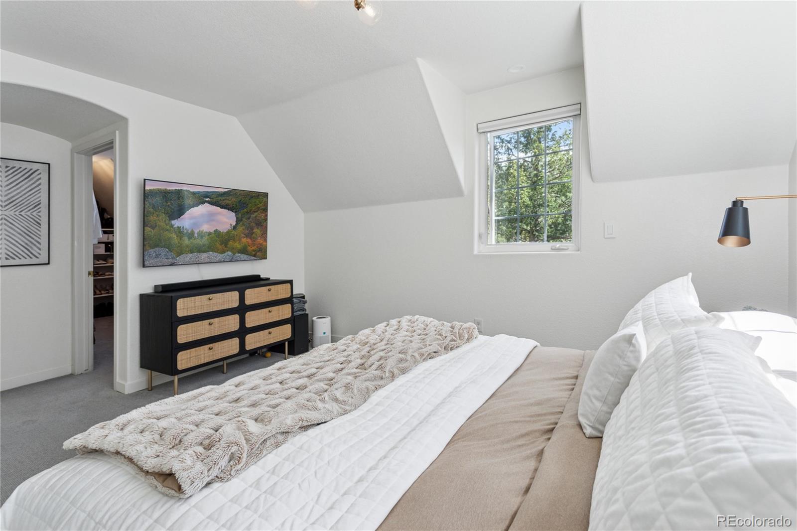 MLS Image #19 for 4978  camel heights road,evergreen, Colorado