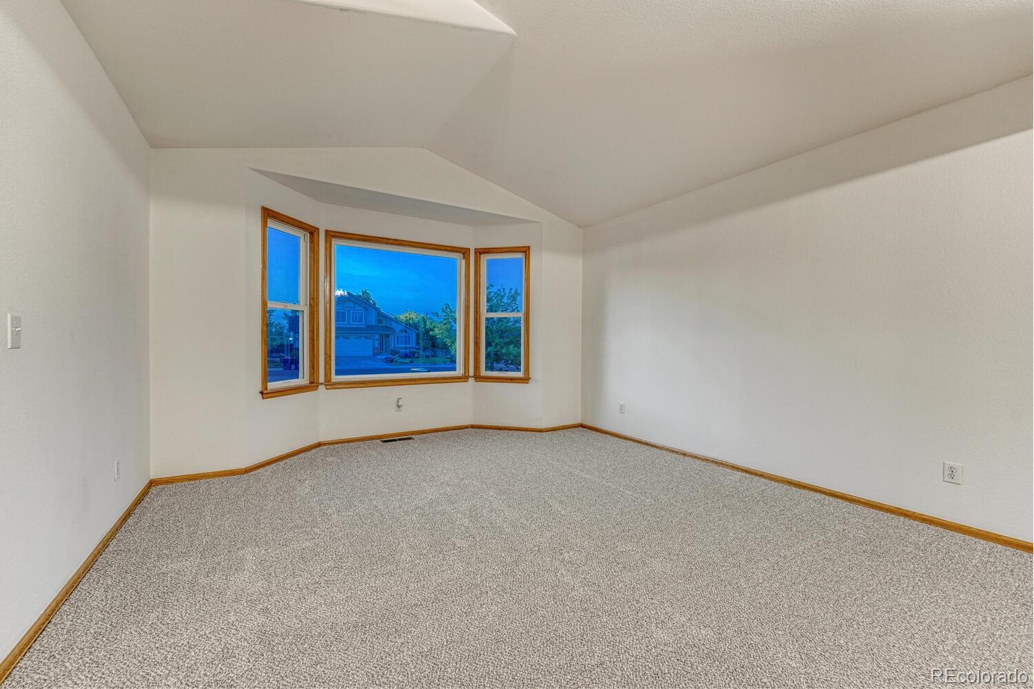 MLS Image #8 for 1838  mountain daisy court,highlands ranch, Colorado