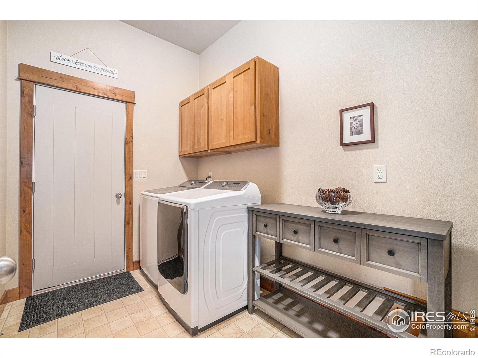 MLS Image #20 for 5434  wishing well drive,timnath, Colorado