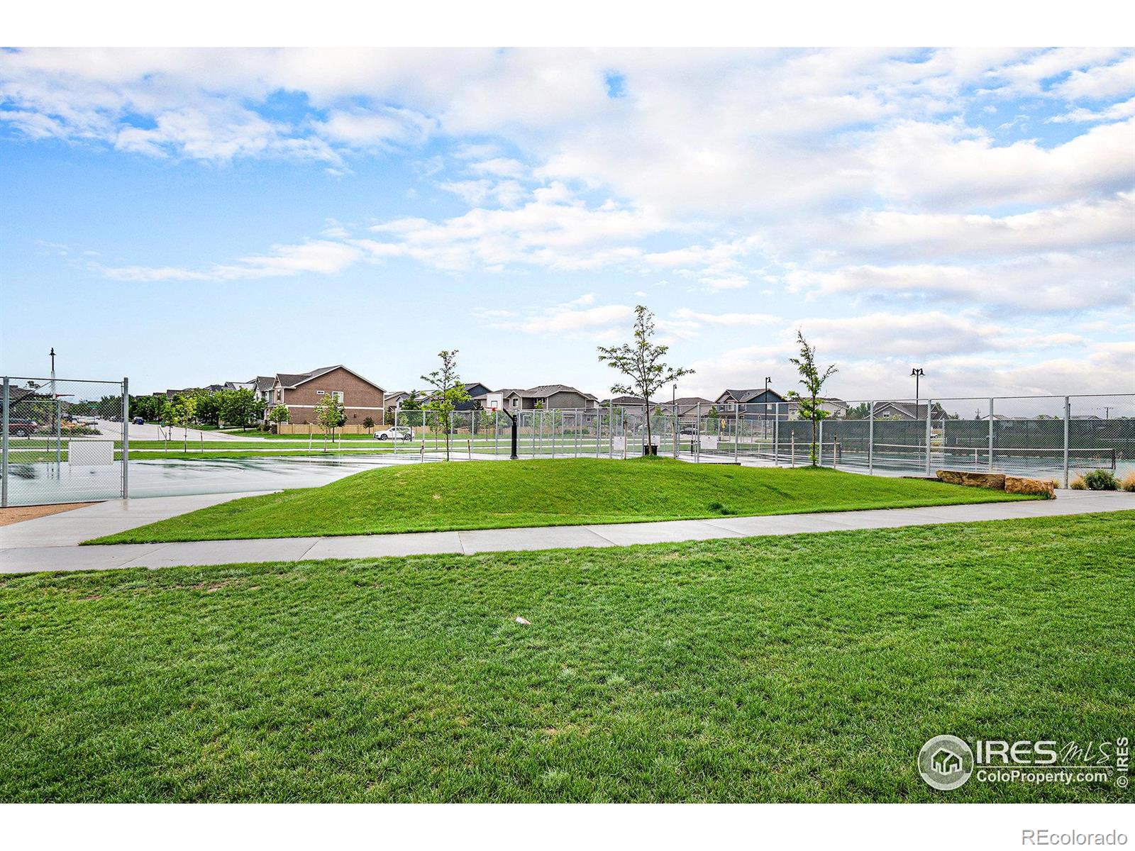 MLS Image #32 for 5434  wishing well drive,timnath, Colorado
