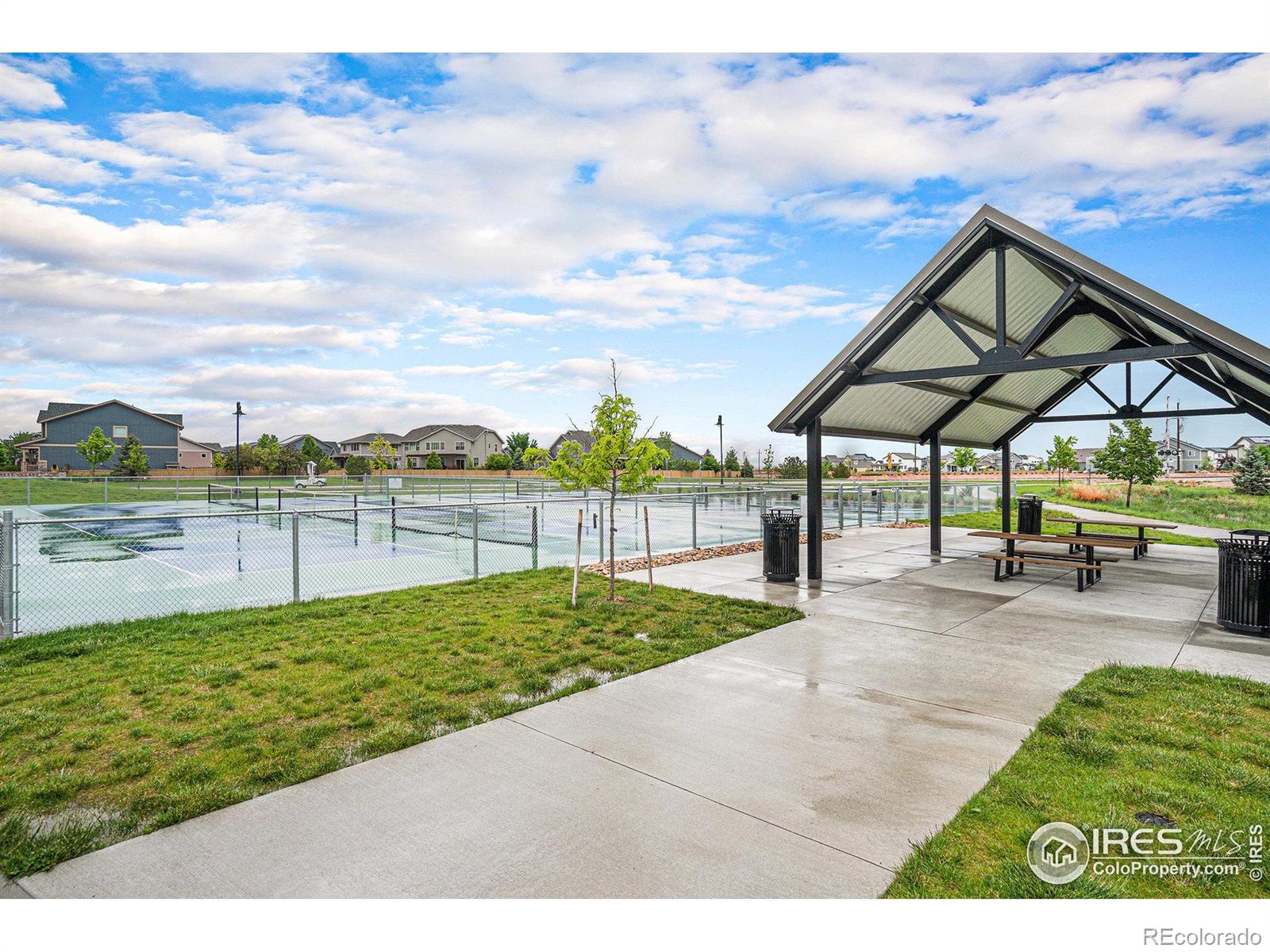 MLS Image #34 for 5434  wishing well drive,timnath, Colorado