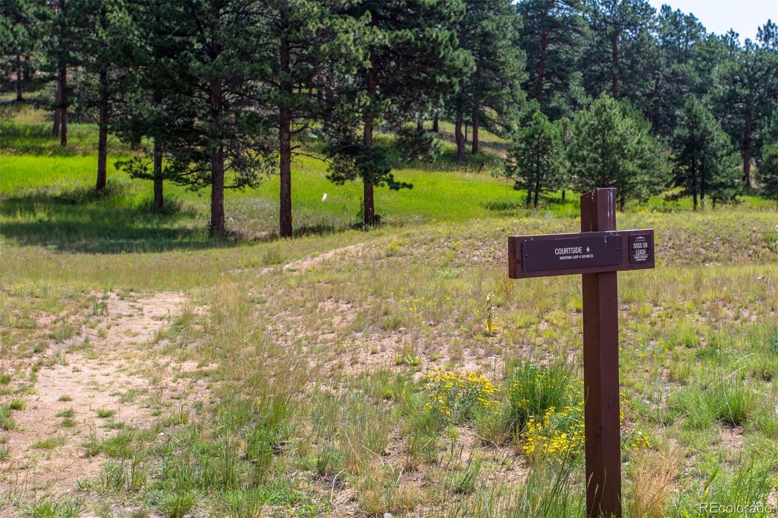MLS Image #47 for 1555  genesee ridge road,golden, Colorado