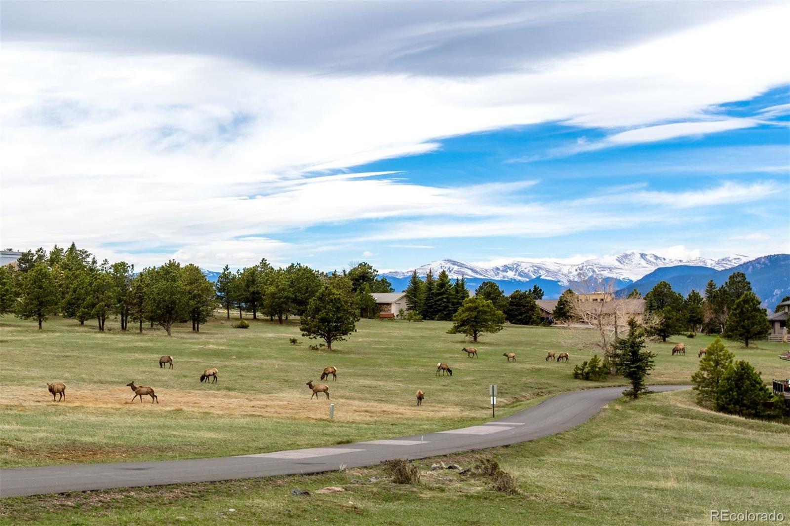 MLS Image #48 for 1555  genesee ridge road,golden, Colorado