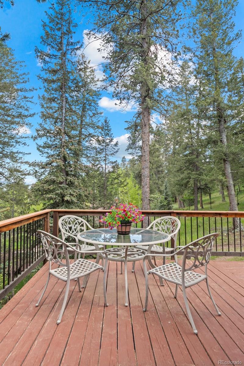 MLS Image #27 for 649  cottonwood drive,evergreen, Colorado