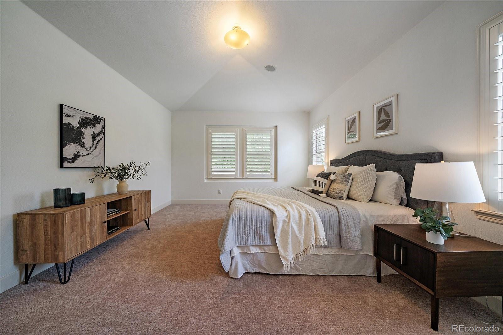 MLS Image #16 for 10632  star thistle court,highlands ranch, Colorado