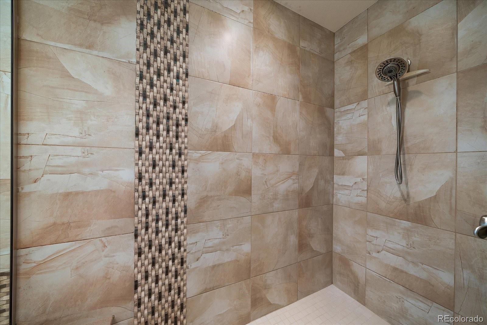 MLS Image #19 for 10632  star thistle court,highlands ranch, Colorado