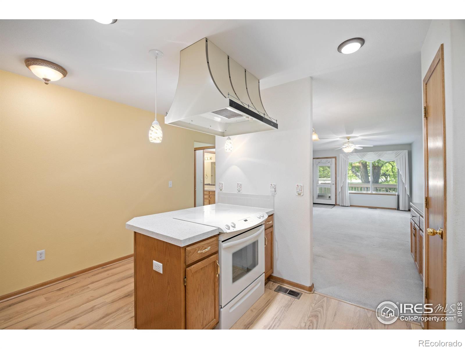 MLS Image #13 for 3641  wild horse court,loveland, Colorado