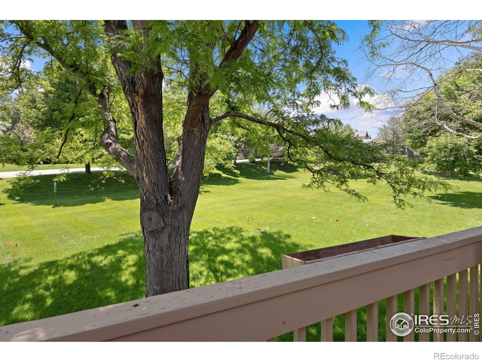 MLS Image #34 for 3641  wild horse court,loveland, Colorado
